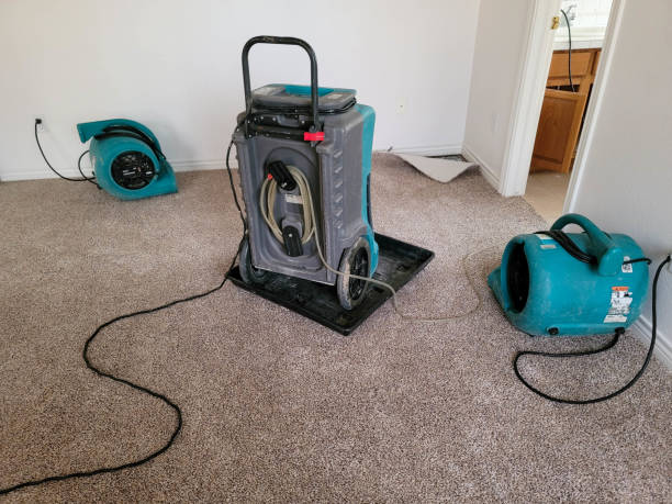  Forestde, AL Water damage restoration Pros