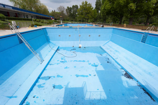 Best Professional water damage repair  in Forestde, AL