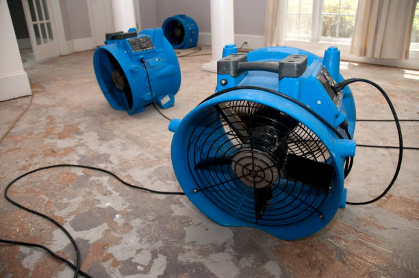 Best Mold removal after water damage  in Forestde, AL