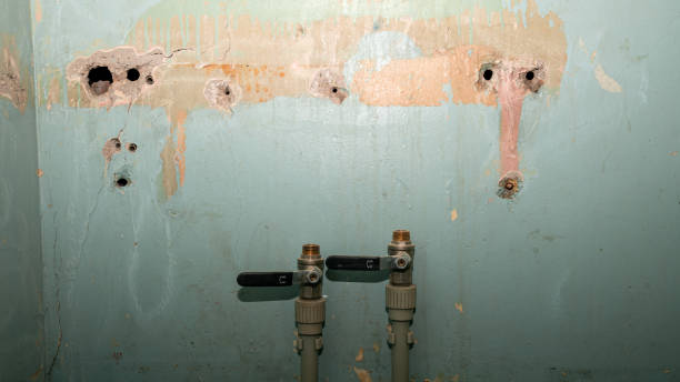 Best Water damage cleanup near me  in Forestde, AL