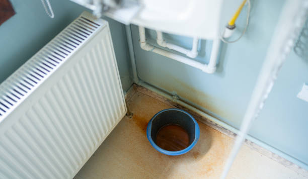 Best Water damage cleanup near me  in Forestde, AL