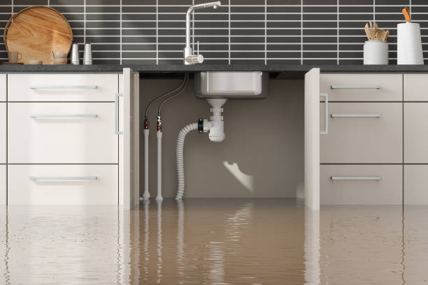 Best Water damage restoration near me  in Forestde, AL