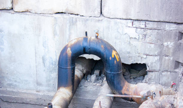 Best Commercial water damage restoration  in Forestde, AL