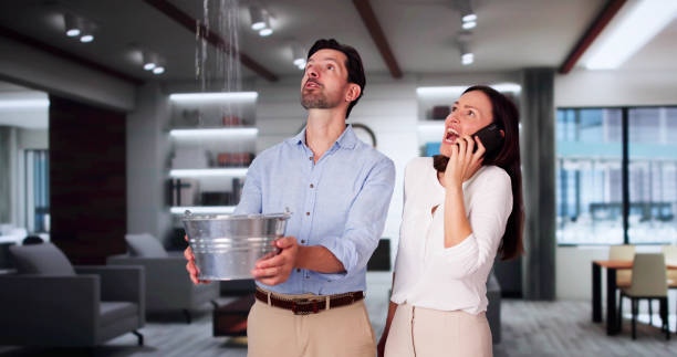 Best Fire Damage Restoration  in Forestde, AL