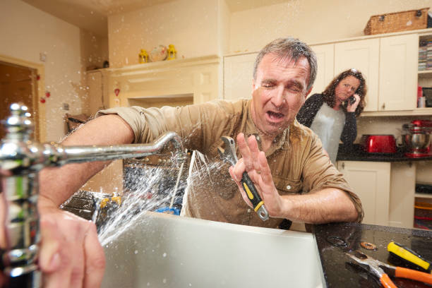 Best Local water damage restoration  in Forestde, AL